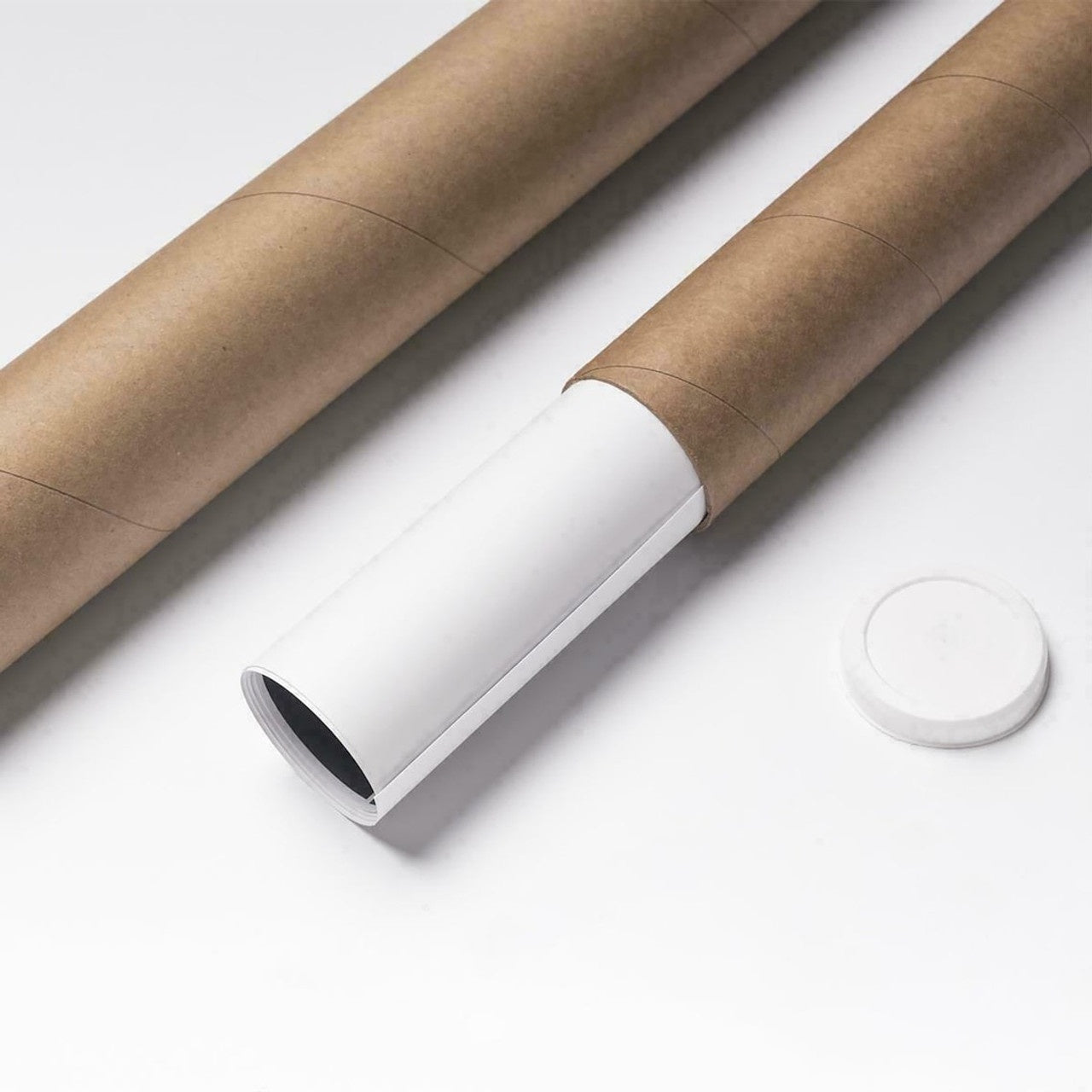 Canvas Black Cat Mummy Your Butt Napkins My Lady Halloween Poster